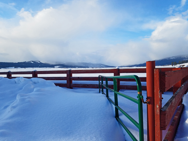 snow, gate, fence